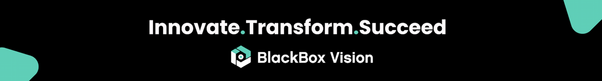 BlackBox Vision